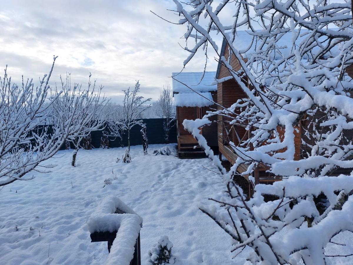 Sweet Village Guest house