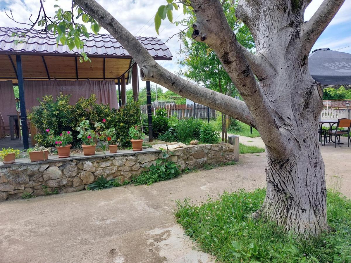 Guest house Sweet Village Tskaltubo