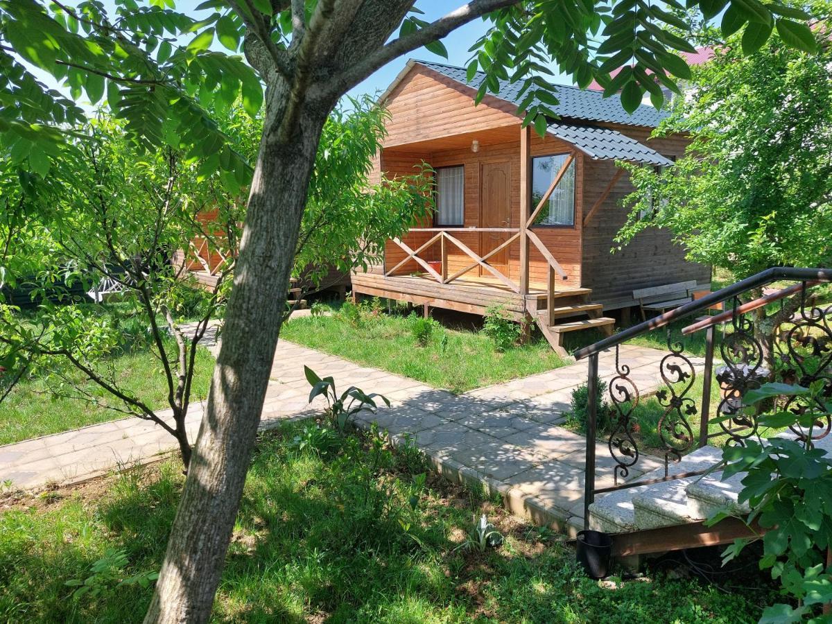 Guest house Sweet Village