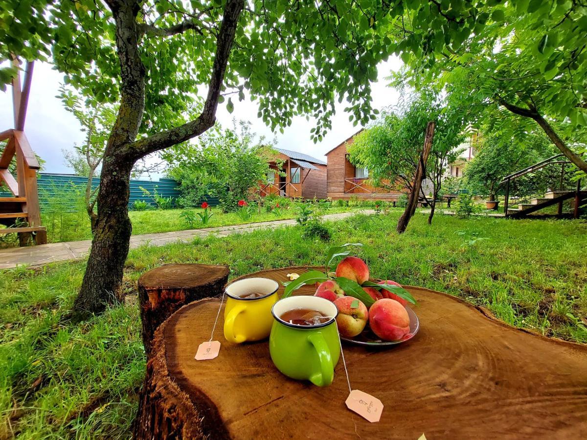 Sweet Village *