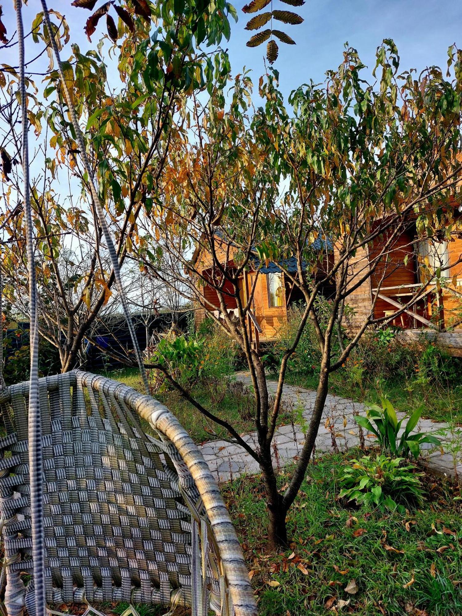 Guest house Sweet Village Tskaltubo