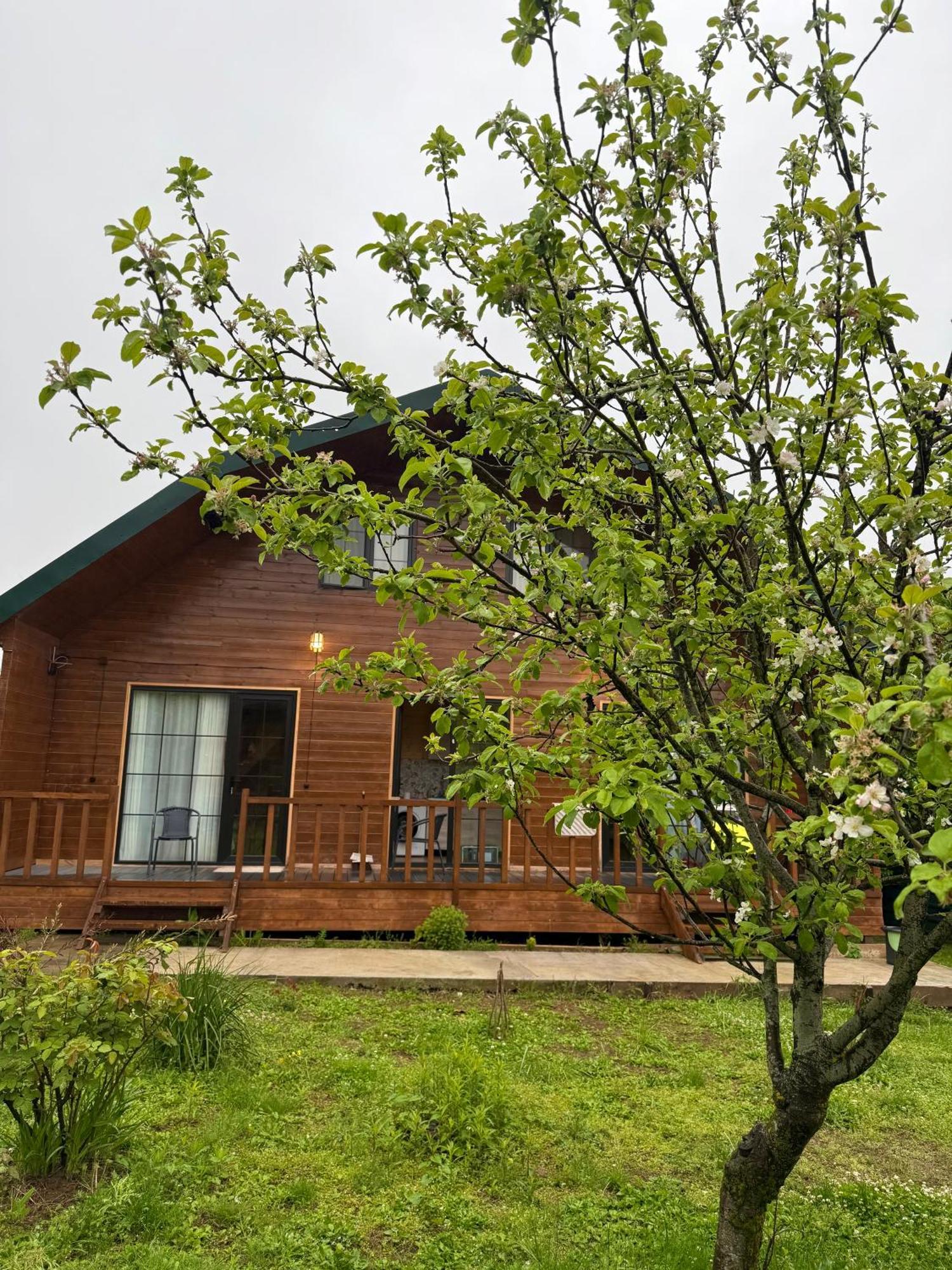 Sweet Village Guest house